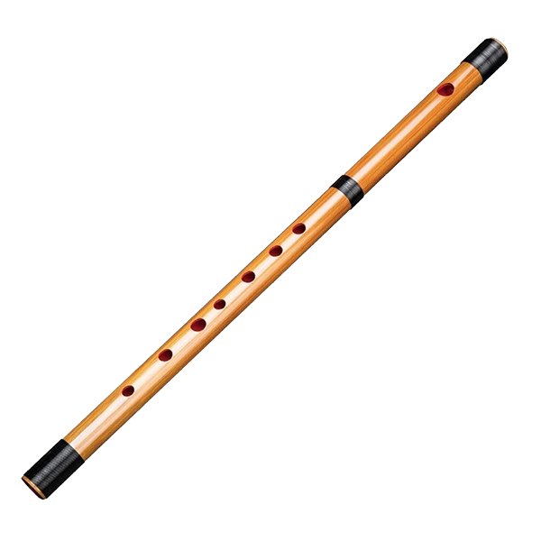 Wind Instruments on rent