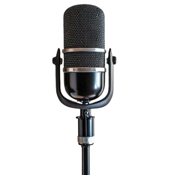Microphone on rent