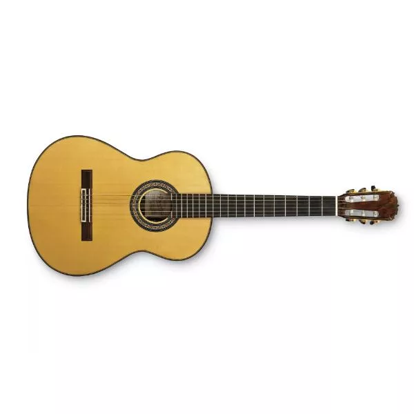 Acoustic Guitar on rent