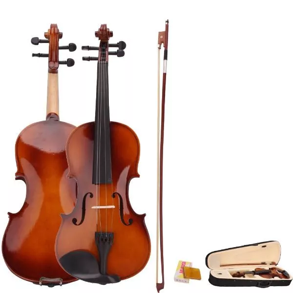 Acoustic Violin on rent