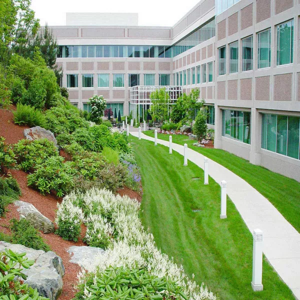 Commercial Landscape for rent