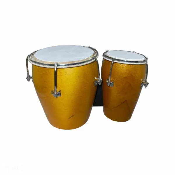 Bongo on rent