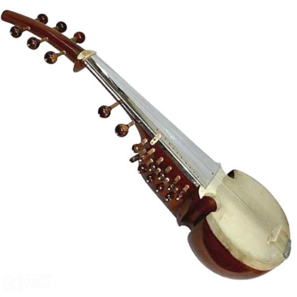 Sarod on rent